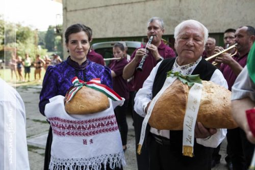 Tekintse meg galériánkat! (1/32)