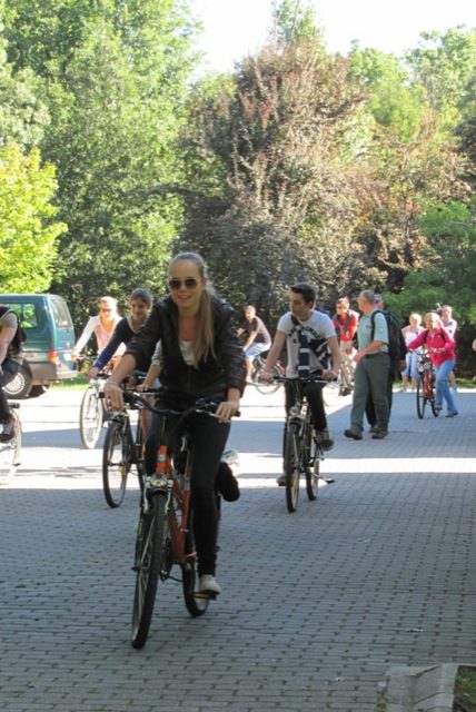 Tekintse meg galériánkat! (1/10)