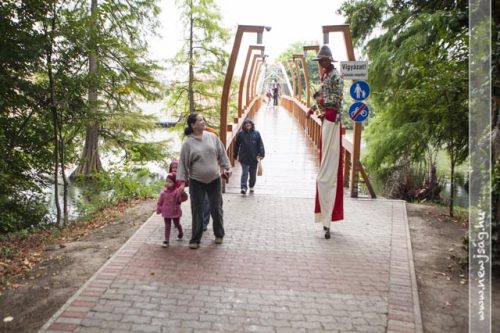 Tekintse meg galériánkat! (1/84)