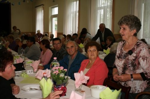 Tekintse meg galériánkat! (1/34)