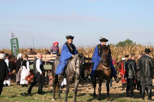 Tekintse meg galériánkat! (1/101)