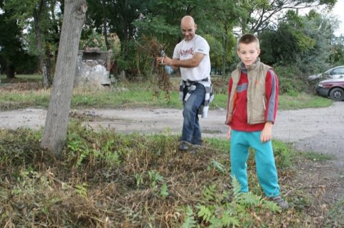 Tekintse meg galériánkat! (1/26)