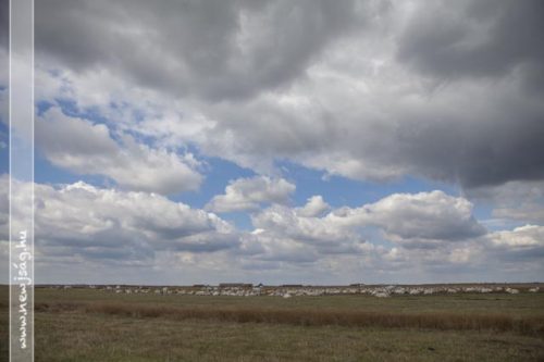 Tekintse meg galériánkat! (1/22)