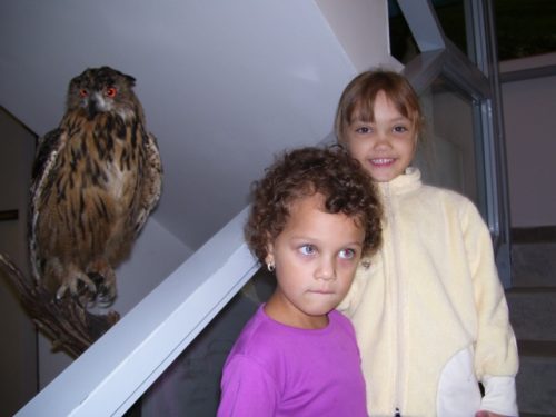 Tekintse meg galériánkat! (1/9)