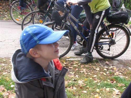 Tekintse meg galériánkat! (1/36)