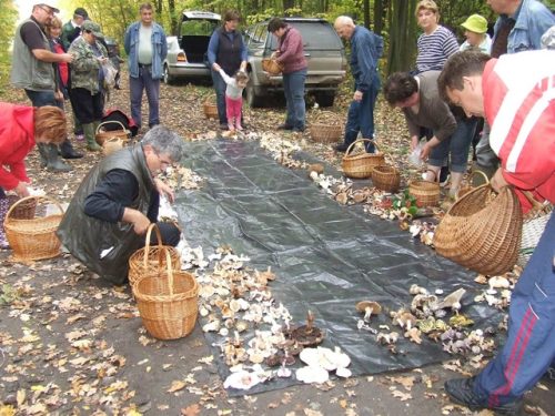 Tekintse meg galériánkat! (1/15)
