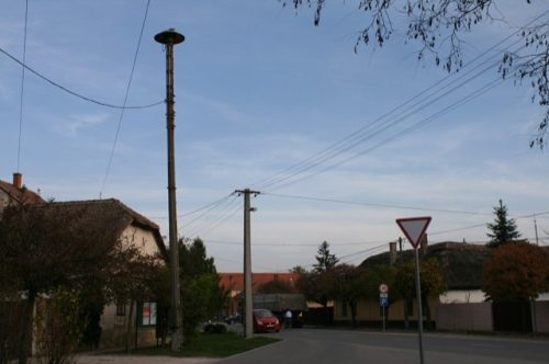 Tekintse meg galériánkat! (1/7)