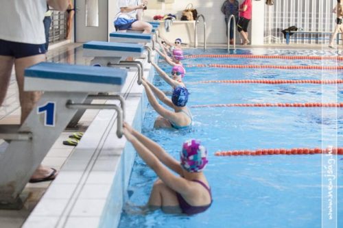 Tekintse meg galériánkat! (1/51)