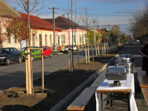 Tekintse meg galériánkat! (1/13)