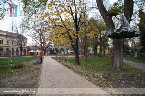 Tekintse meg galériánkat! (1/17)