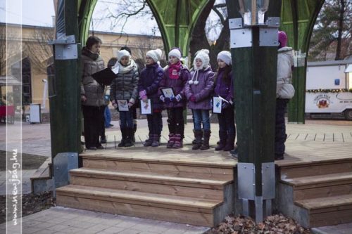 Tekintse meg galériánkat! (1/22)