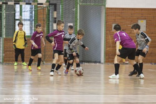 Tekintse meg galériánkat! (1/27)