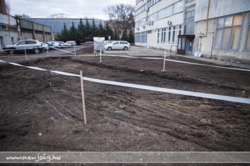 Tekintse meg galériánkat! (1/16)