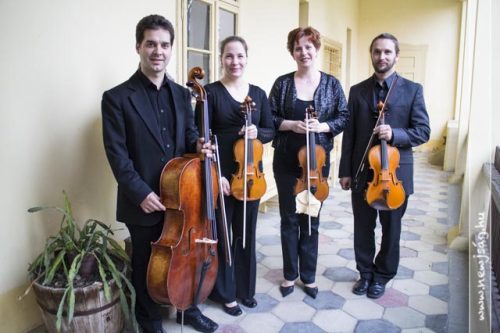 Tekintse meg galériánkat! (1/11)