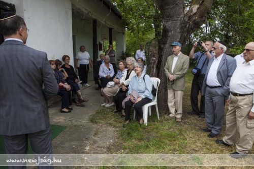 Tekintse meg galériánkat! (1/15)