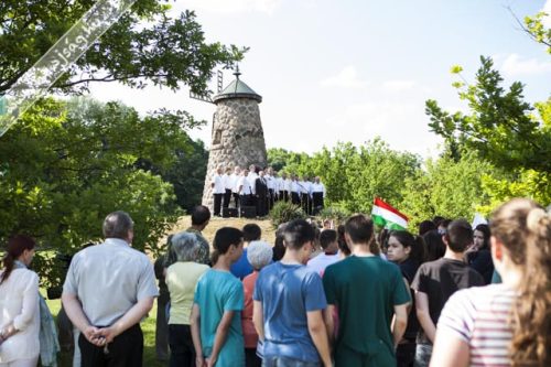 Tekintse meg galériánkat! (1/25)