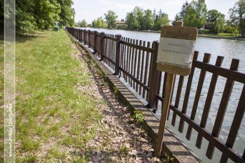 Tekintse meg galériánkat! (1/9)