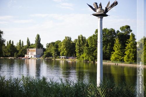 Tekintse meg galériánkat! (1/23)