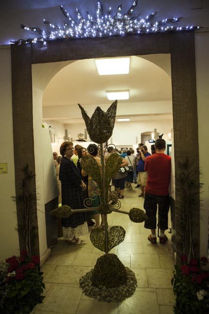 Tekintse meg galériánkat! (1/21)