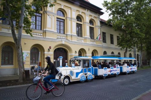 Tekintse meg galériánkat! (1/63)