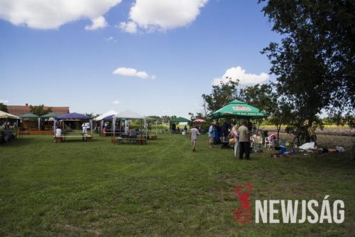 Tekintse meg galériánkat! (1/31)