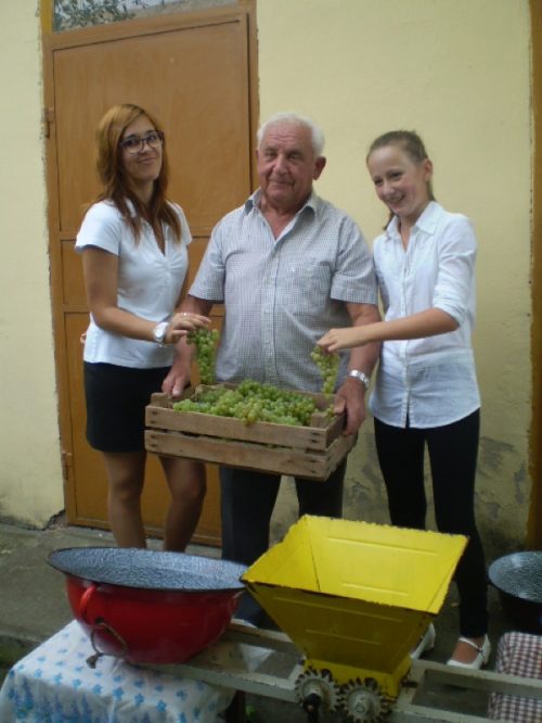 Tekintse meg galériánkat! (1/49)