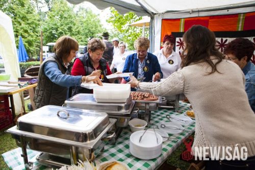 Tekintse meg galériánkat! (1/118)