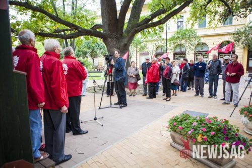 Tekintse meg galériánkat! (1/20)
