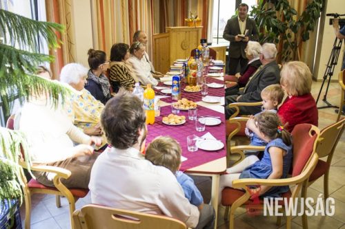 Tekintse meg galériánkat! (1/17)