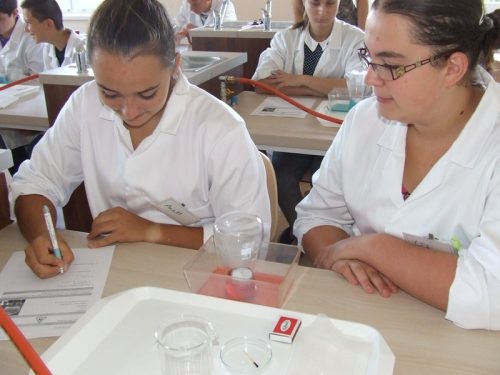 Tekintse meg galériánkat! (1/23)