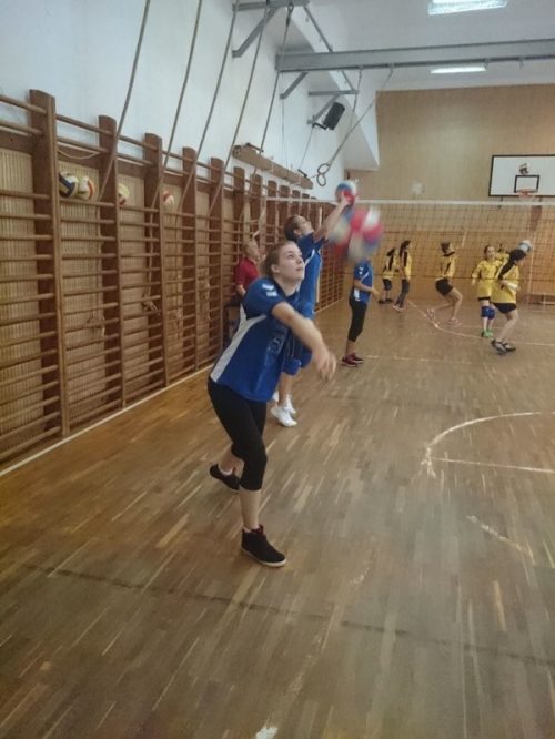 Tekintse meg galériánkat! (1/12)