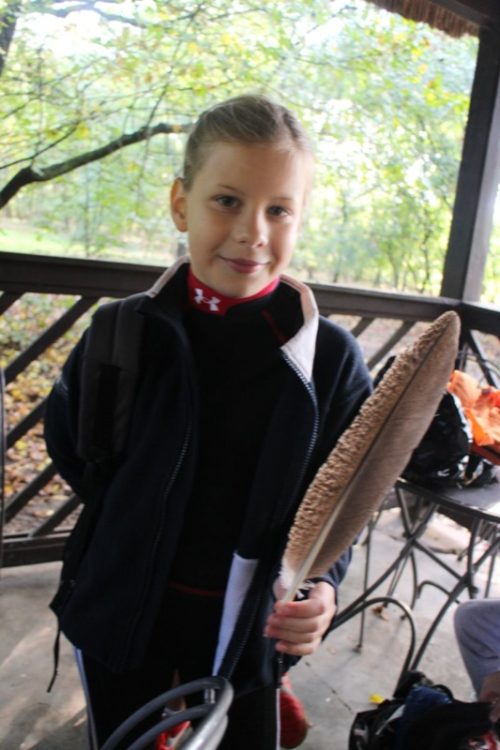 Tekintse meg galériánkat! (1/13)