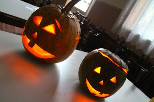 Tekintse meg galériánkat! (1/21)