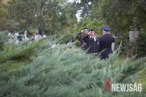 Tekintse meg galériánkat! (1/46)