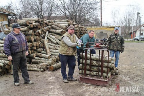 Tekintse meg galériánkat! (1/17)