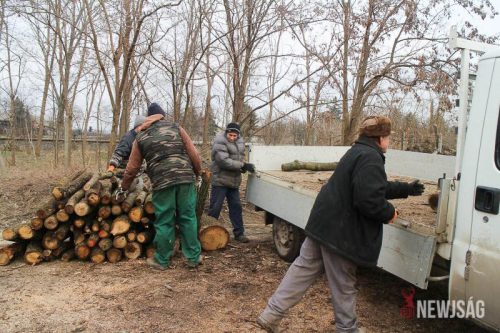 Tekintse meg galériánkat! (1/16)