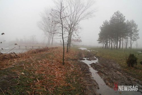 Tekintse meg galériánkat! (1/16)