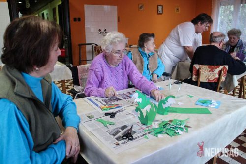 Tekintse meg galériánkat! (1/20)