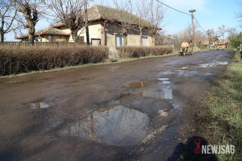 Tekintse meg galériánkat! (1/9)