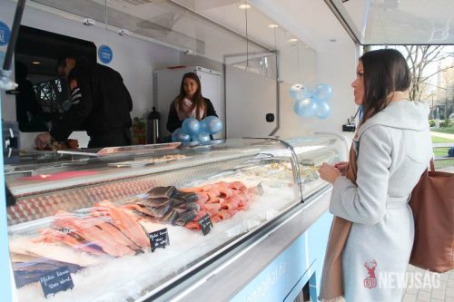 Tekintse meg galériánkat! (1/21)