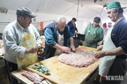 Tekintse meg galériánkat! (1/21)