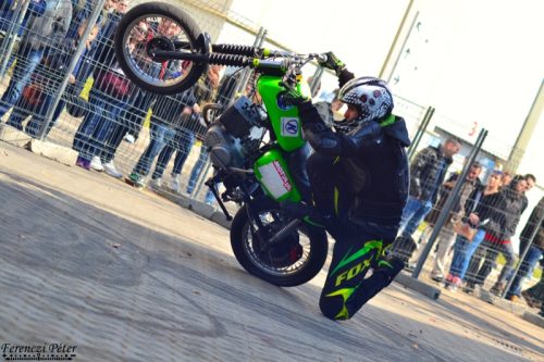 Tekintse meg galériánkat! (1/22)