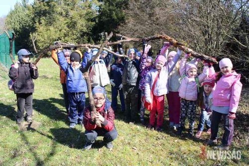 Tekintse meg galériánkat! (1/16)