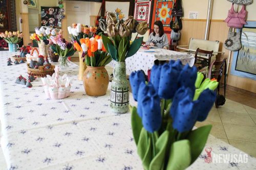 Tekintse meg galériánkat! (1/22)