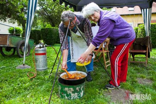 Tekintse meg galériánkat! (1/24)