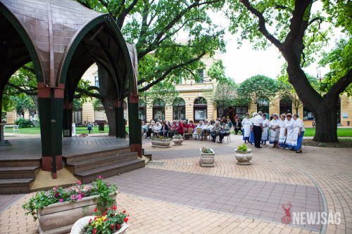 Tekintse meg galériánkat! (1/22)