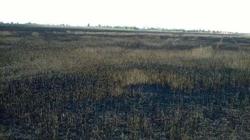 Tekintse meg galériánkat! (1/10)