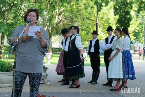 Tekintse meg galériánkat! (1/25)