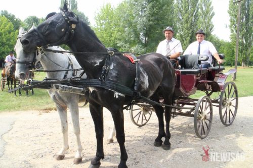 Tekintse meg galériánkat! (1/20)