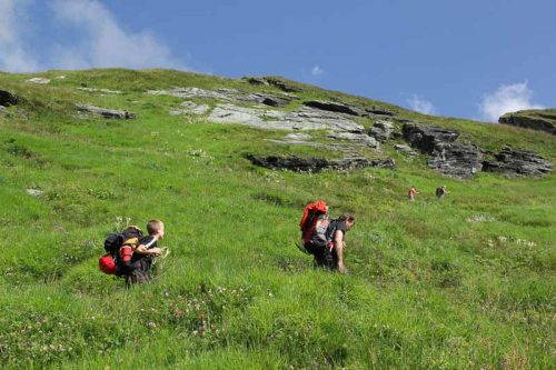 Tekintse meg galériánkat! (1/38)